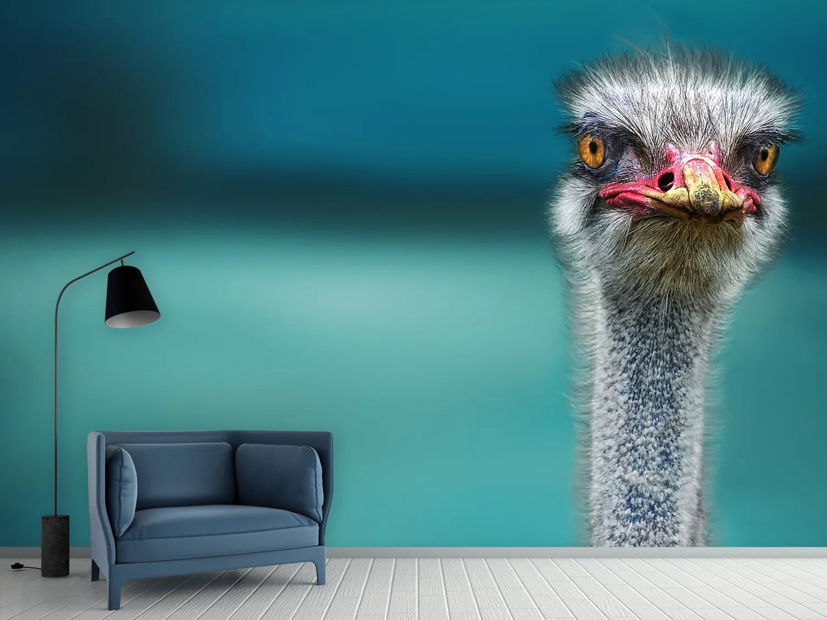 photo-wallpaper-blue-meets-ostrich