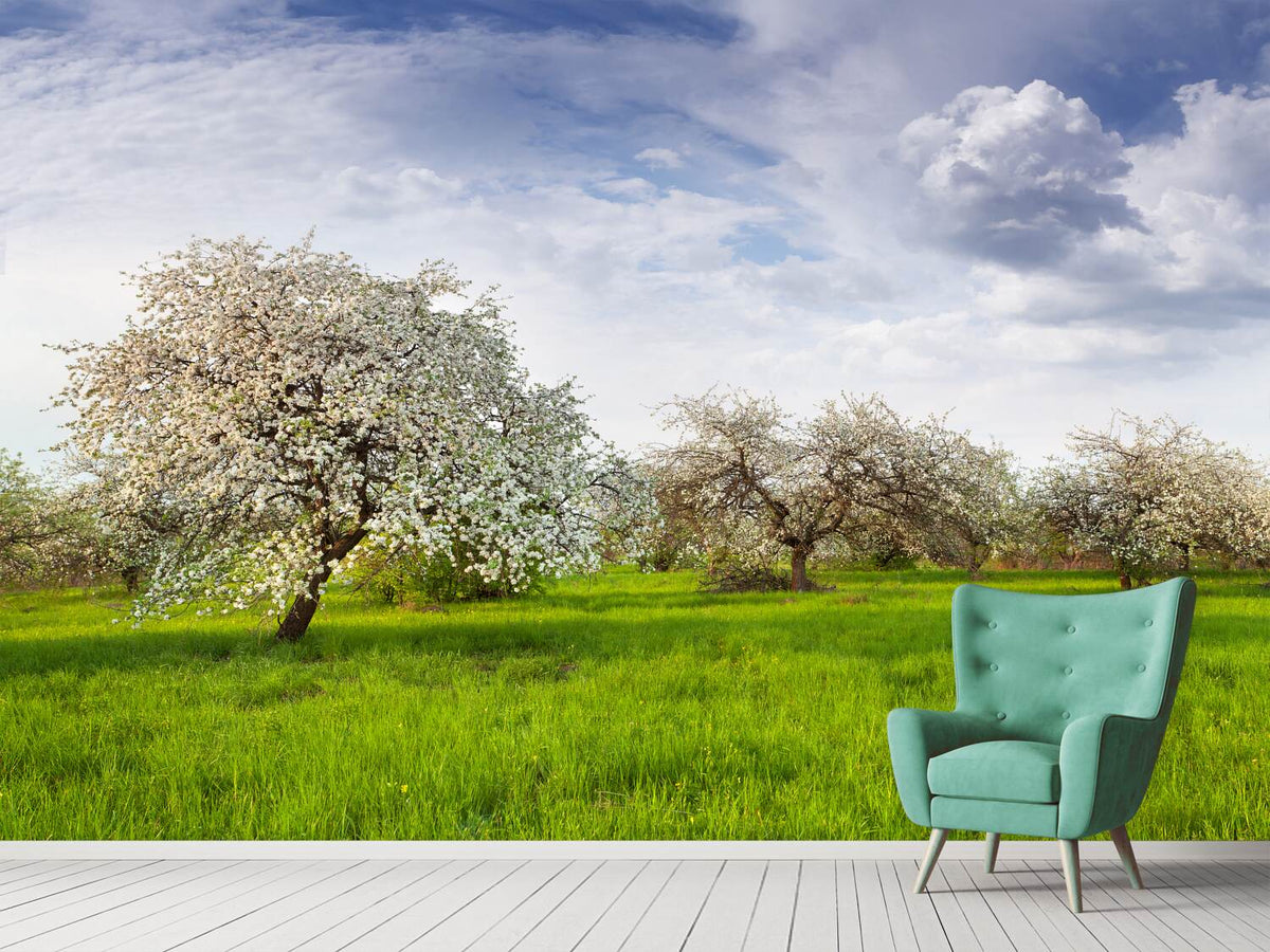 photo-wallpaper-apple-tree-garden