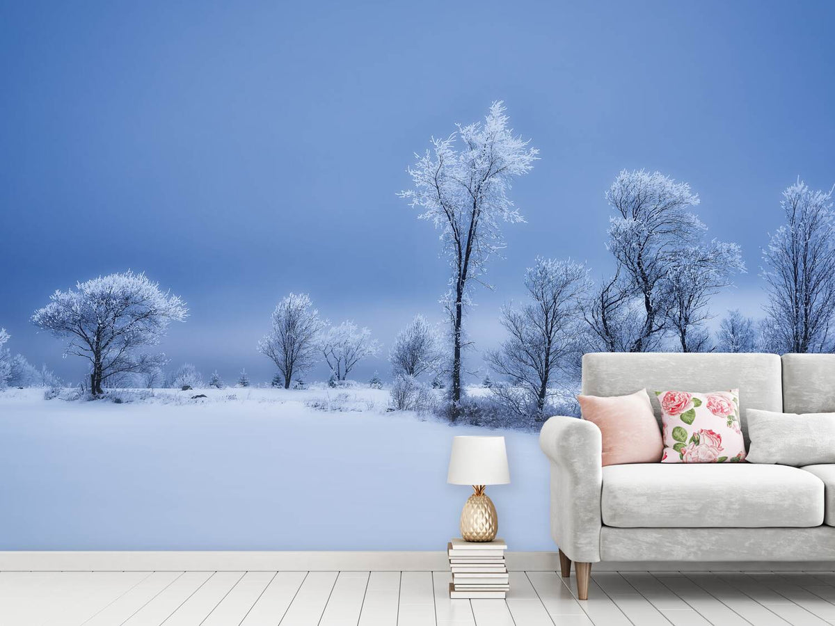 photo-wallpaper-winterland-x