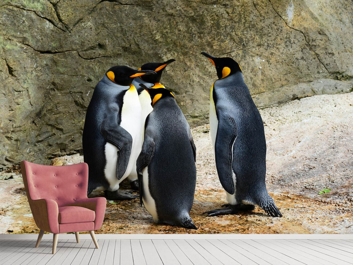 photo-wallpaper-king-penguins