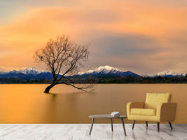 photo-wallpaper-morning-glow-of-the-lake-wanaka