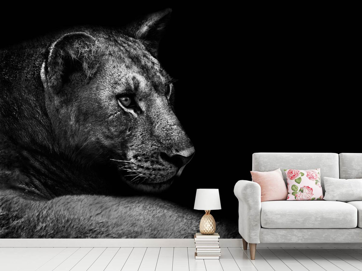 photo-wallpaper-lion