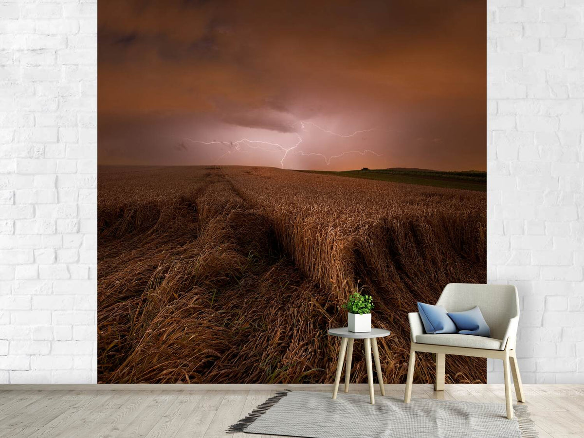 photo-wallpaper-morning-storm