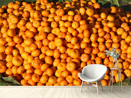 photo-wallpaper-fresh-mandarins