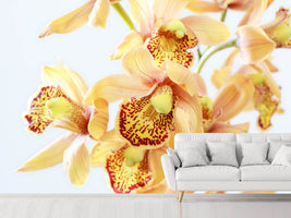 photo-wallpaper-yellow-orchid