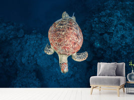 photo-wallpaper-green-turtle-on-blue-water