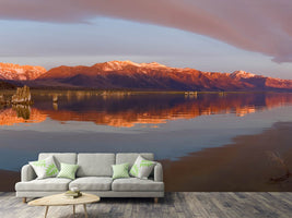 photo-wallpaper-mono-lake-panorama-x