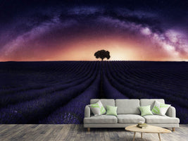 photo-wallpaper-my-lavander