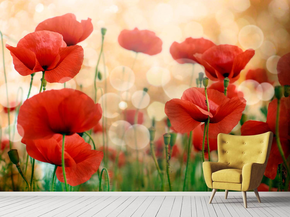 photo-wallpaper-the-poppy