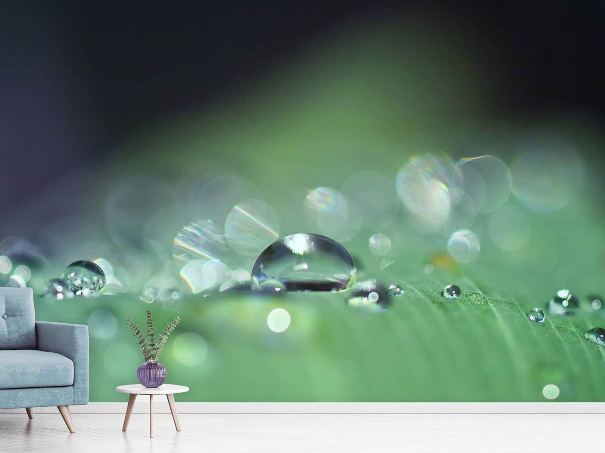 photo-wallpaper-drops-of-water-in-xxl