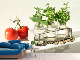 photo-wallpaper-tomatoes-and-herbs