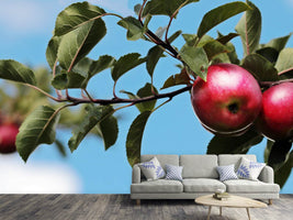 photo-wallpaper-apple-on-the-tree