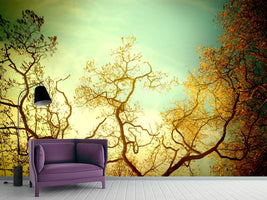 photo-wallpaper-autumn-trees-ii