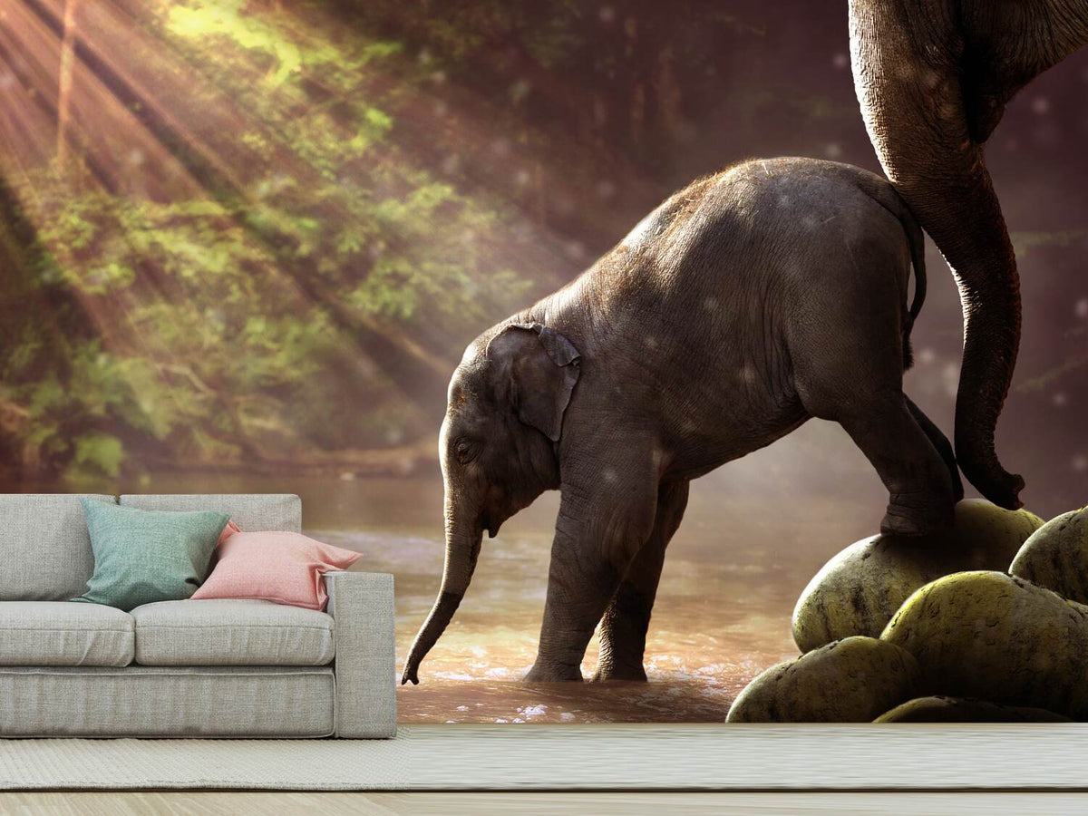 photo-wallpaper-the-elephant-baby