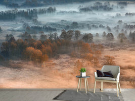 photo-wallpaper-autumnal-misty-dawn-x