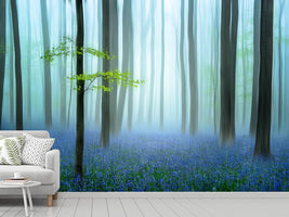 photo-wallpaper-the-blue-forest