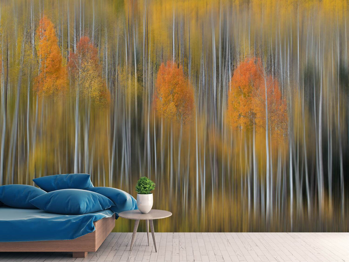 photo-wallpaper-fall-impression-2-x