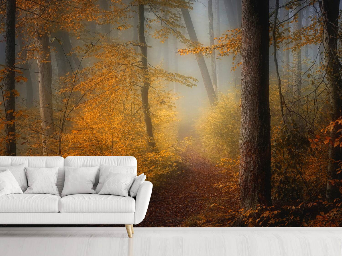 photo-wallpaper-in-autumn-x