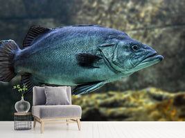 photo-wallpaper-big-fish