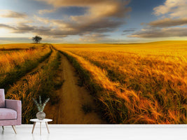 photo-wallpaper-yellow-xlw